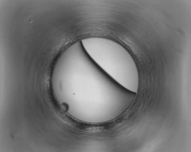 X0000112740499200908201038