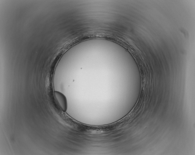 X0000112740500200908201038