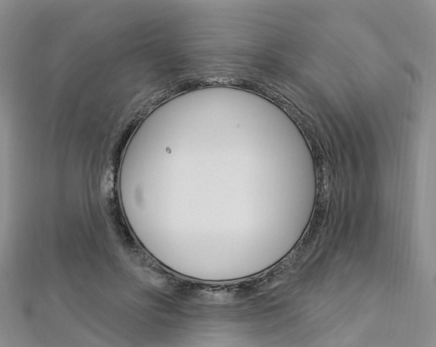 X0000112740502200908201038