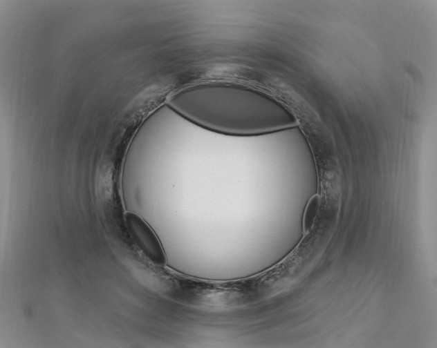 X0000112740504200908201038