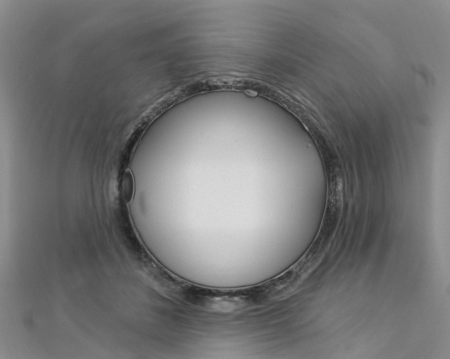 X0000112740508200908201038