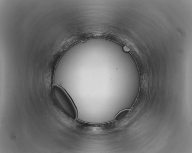 X0000112740509200908201038
