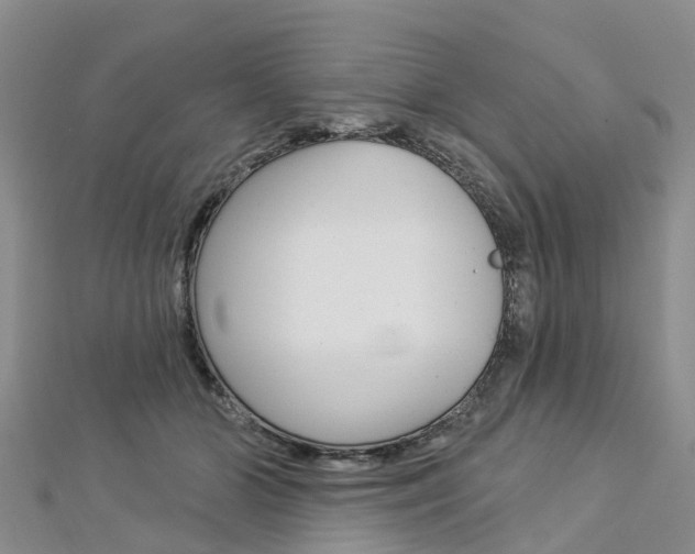 X0000112740510200908201038