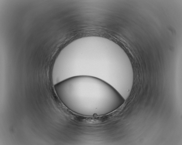 X0000112740512200908201038