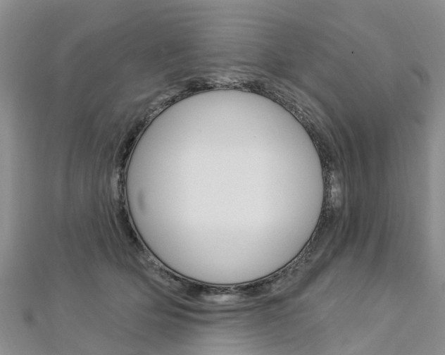 X0000112740514200908201038
