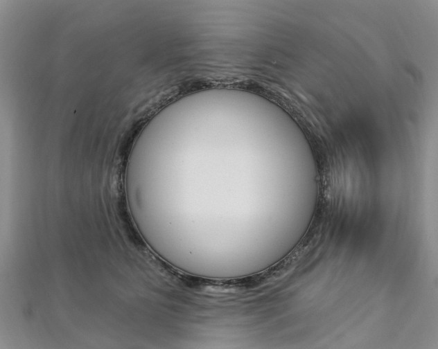 X0000112740515200908201038