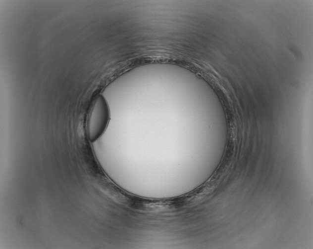 X0000112740516200908201038