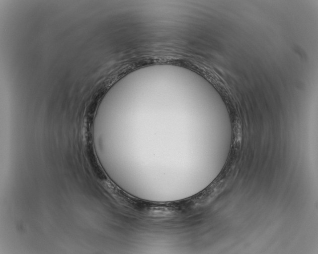 X0000112740519200908201038