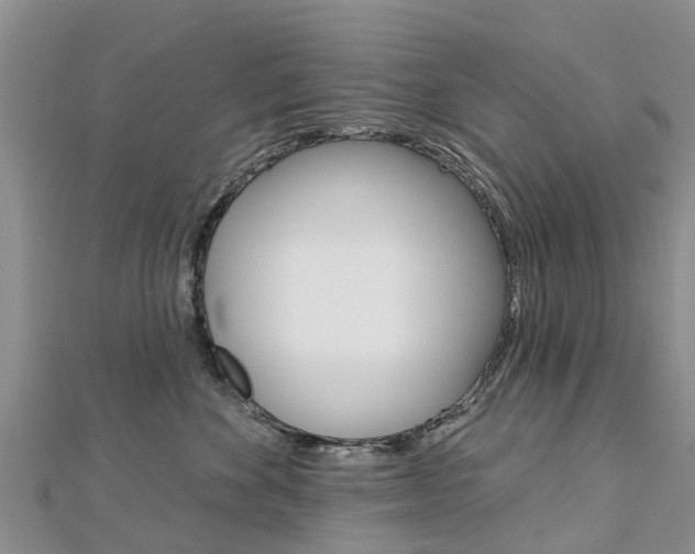 X0000112740524200908201037