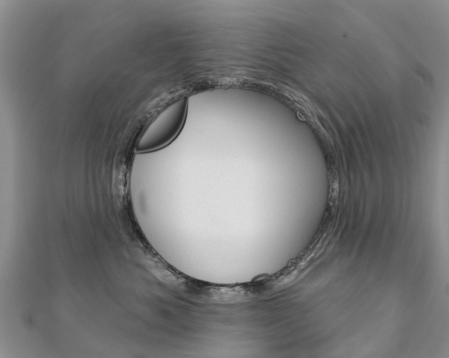 X0000112740525200908201037
