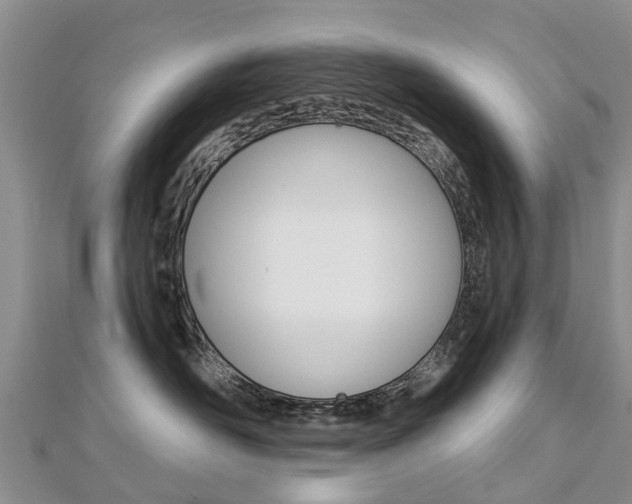 X0000112740526200908201037