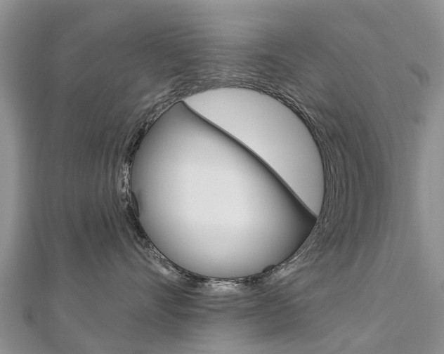 X0000112740528200908201037