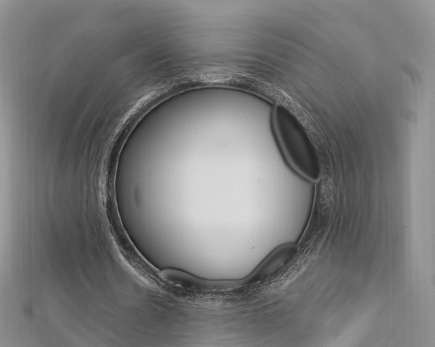 X0000112740530200908201037