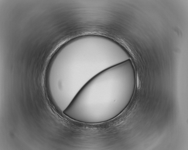 X0000112740531200908201037