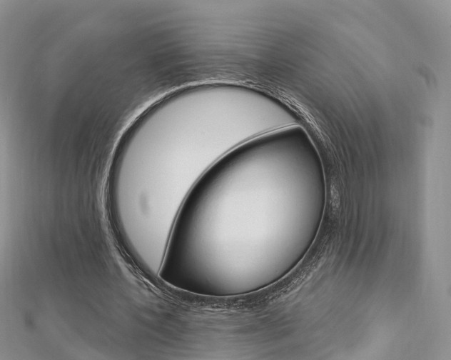 X0000112740532200908201037