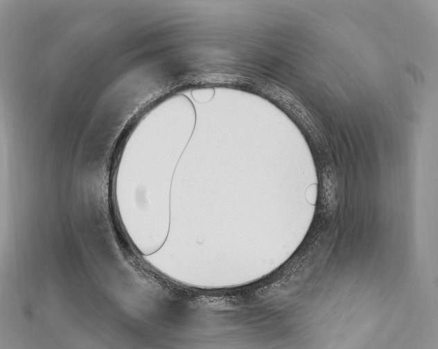 X0000112740534200908201037