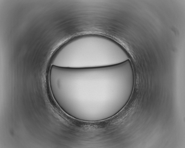 X0000112740535200908201037