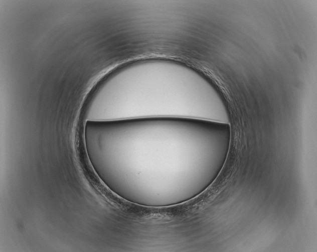 X0000112740536200908201037