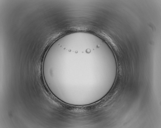 X0000112740537200908201037