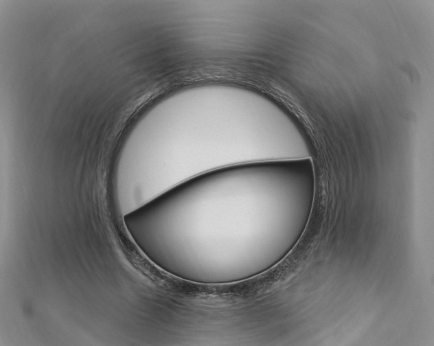 X0000112740538200908201037
