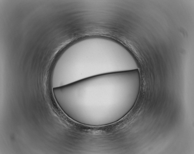 X0000112740539200908201037