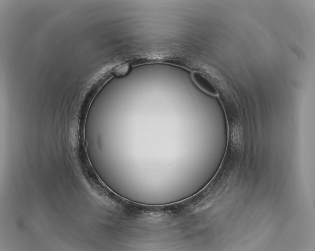X0000112740540200908201037