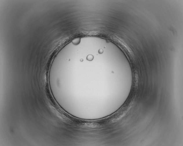 X0000112740541200908201037