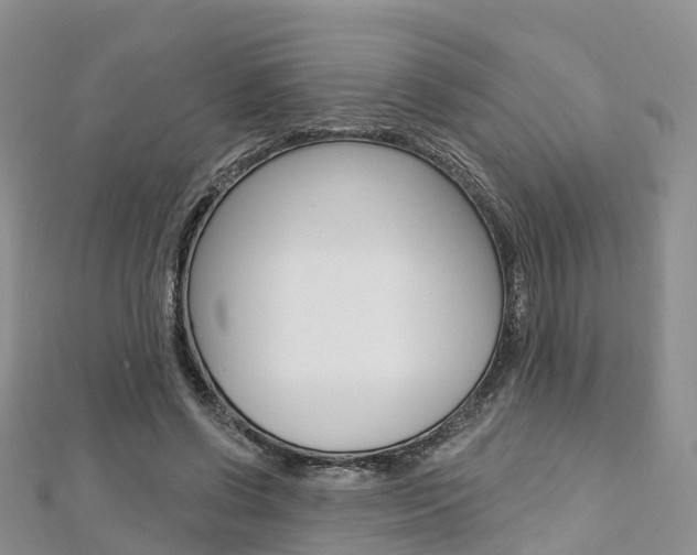 X0000112740542200908201037