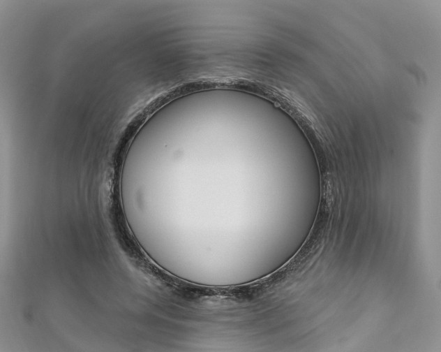 X0000112740544200908201037
