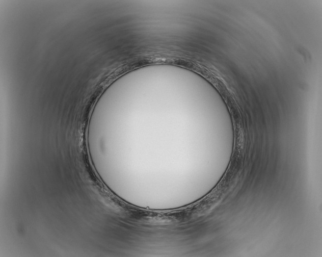 X0000112740545200908201037