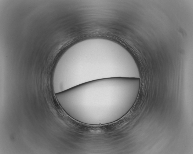 X0000112740547200908201037