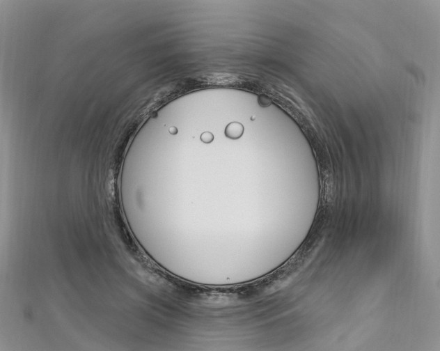 X0000112740549200908201037