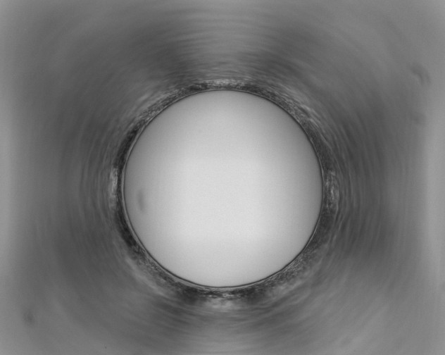 X0000112740550200908201037