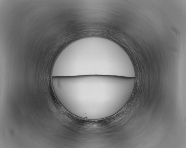 X0000112740551200908201037