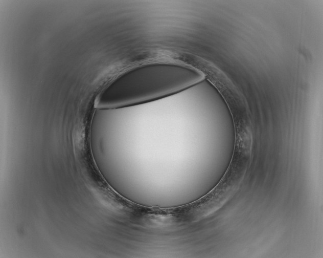 X0000112740552200908201037