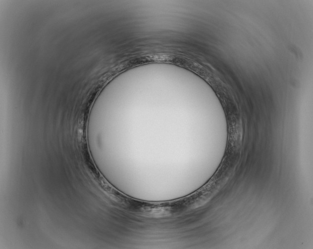 X0000112740553200908201037