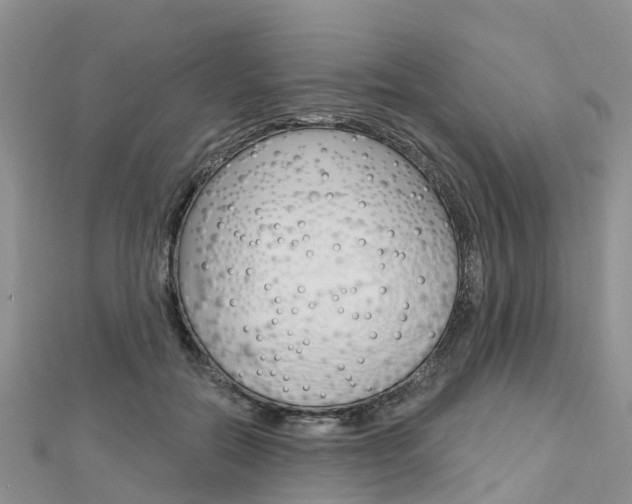 X0000112740554200908201037