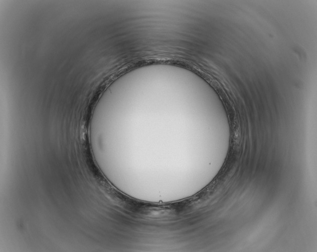 X0000112740555200908201037