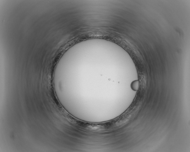 X0000112740557200908201037