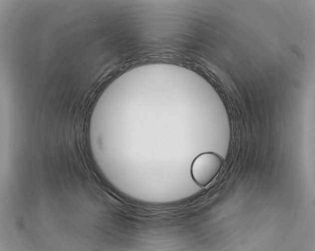 X0000112740558200908201037