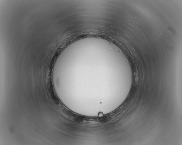 X0000112740559200908201037