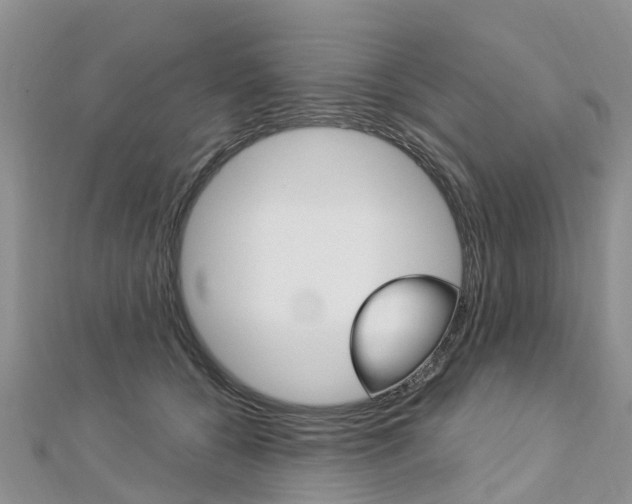X0000112740560200908201037