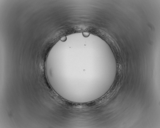 X0000112740561200908201037