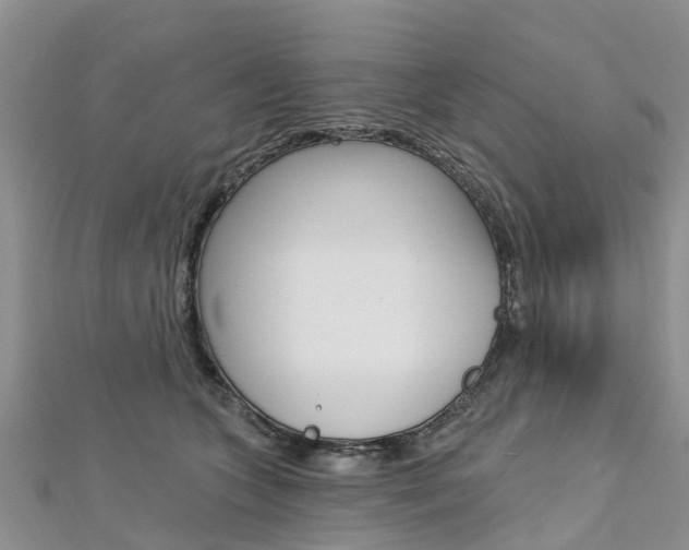 X0000112740563200908201037