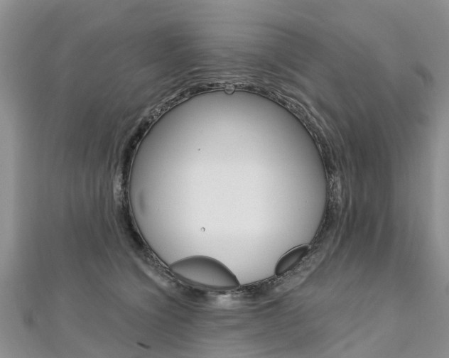 X0000112740564200908201037