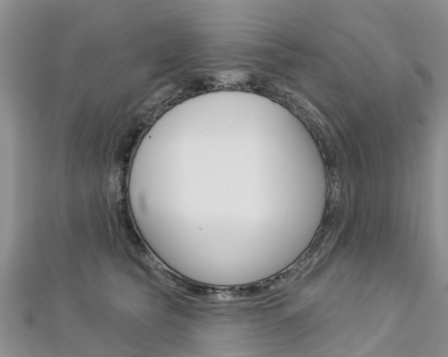 X0000112740565200908201037