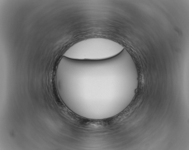 X0000112740567200908201037