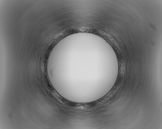 X0000112740569200908201037