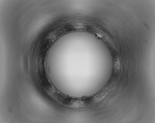 X0000112740572200908201037
