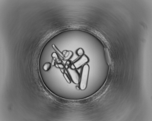 X0000112740577200908201037